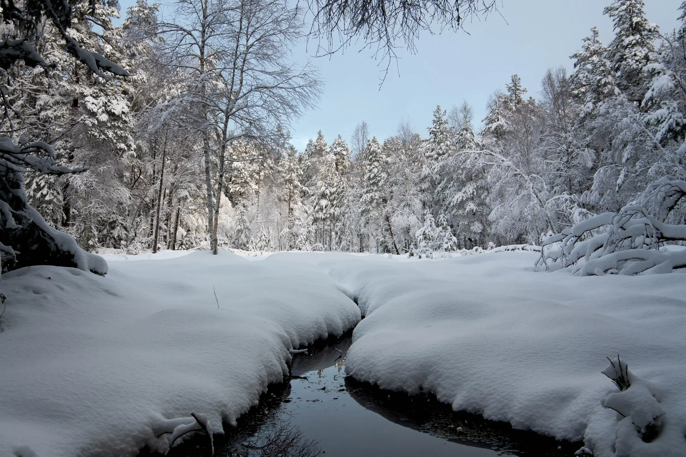 Under Snow