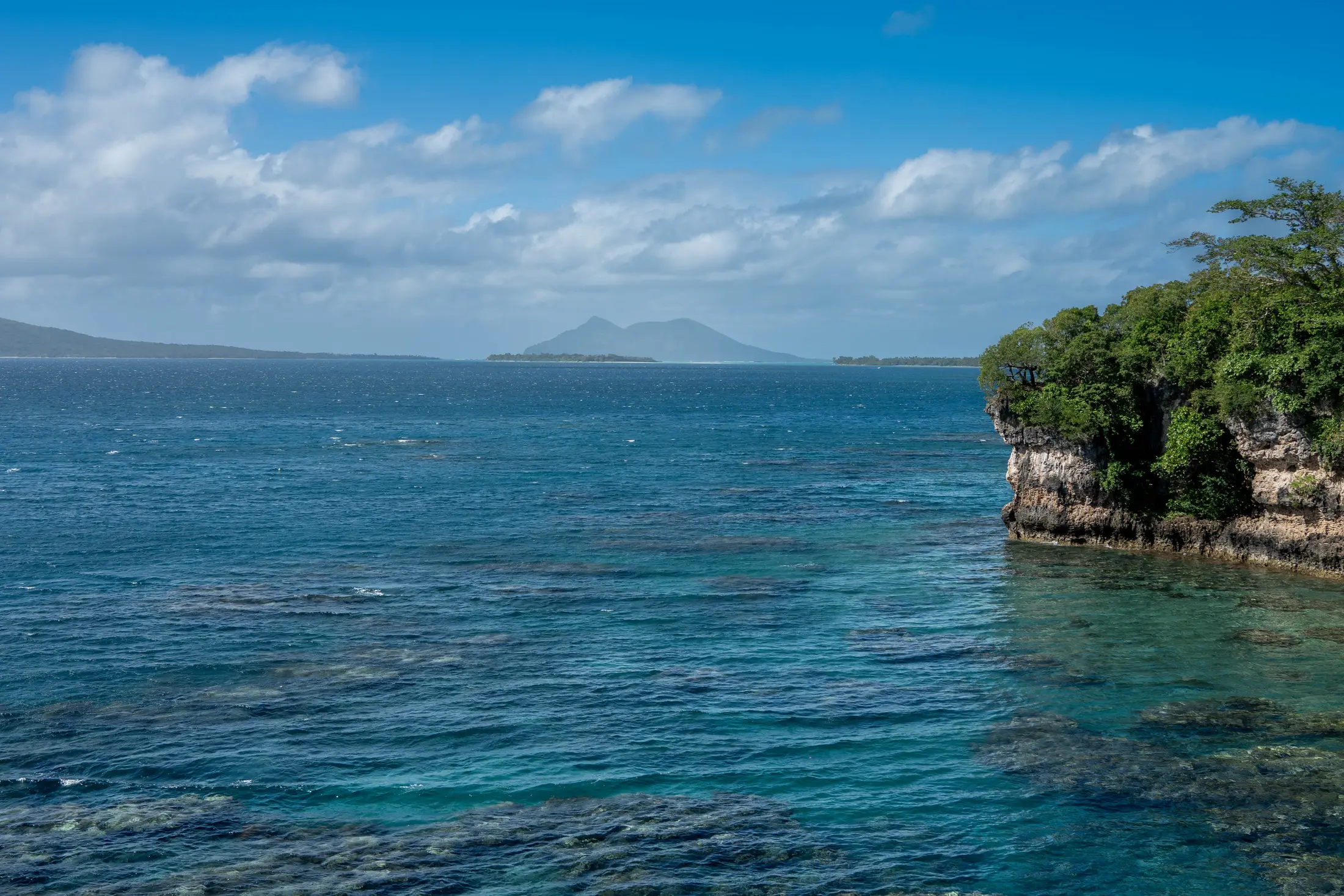Reef with a view